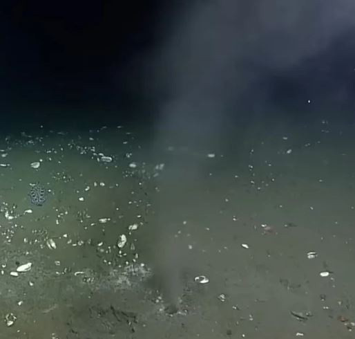 Fay hattında sızıntı tespit edildi! 9 büyüklüğünde deprem olabilir - Resim: 0