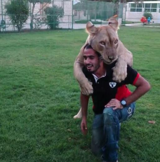 İnstagram'ın dev kedili adamı - Resim: 4