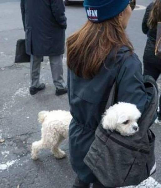 Bu fotoğraflara iki kez bakacaksınız - Resim: 3