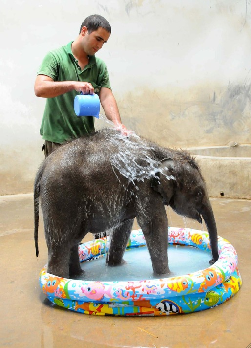 İzmir'in banyo keyfi - Resim: 3