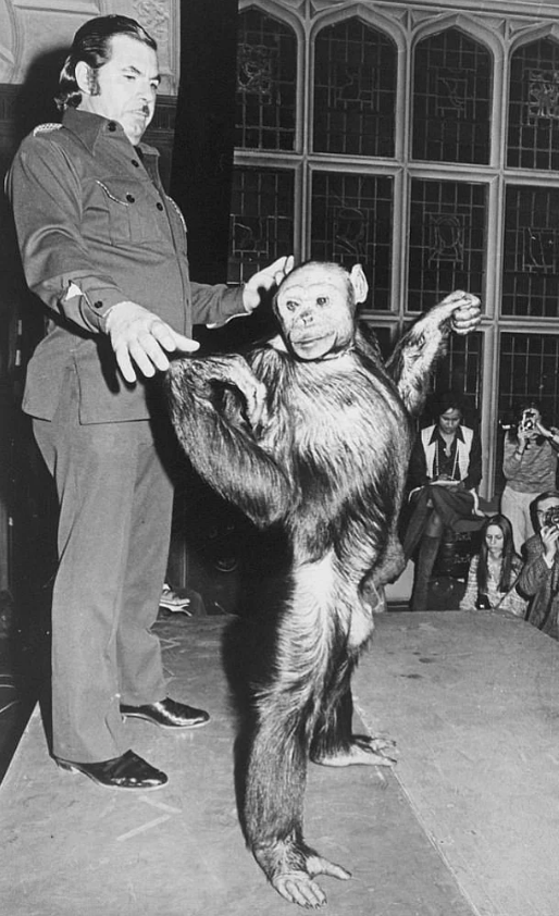 Dünya bunuda gördü şempanze melez insan doğurdu! - Resim: 4