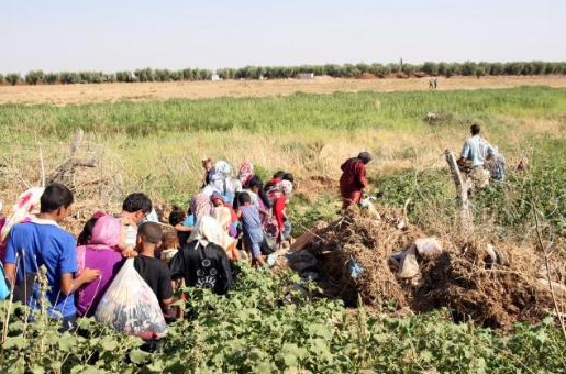 İşte kare kare tehlike yolculuk! - Resim: 4