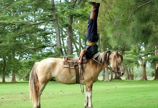 Dünya 'Atlara fısıldayan adam'ı konuşuyor - Resim: 2