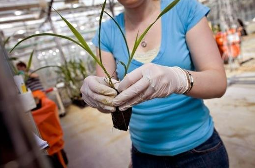 En değerli çalışanlar bu şirketlerde! - Resim: 3