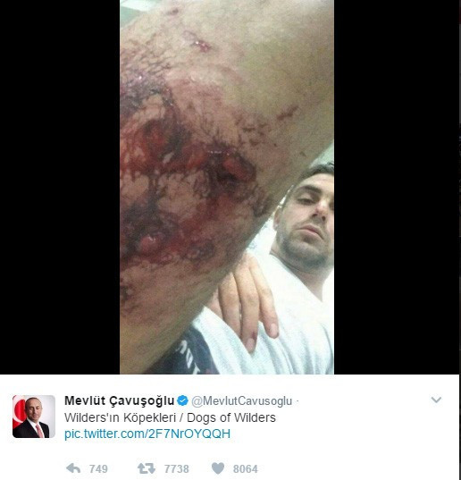 Çavuşoğlu Hollanda'daki vahşeti paylaştı - Resim: 4