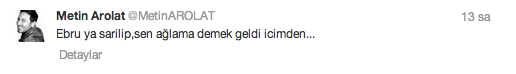 Ebru Gündeş'e destek tweetleri - Resim: 3