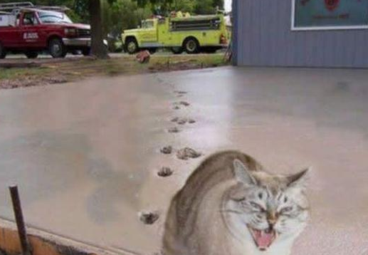 Sanal alemin en bomba anları! - Resim: 4