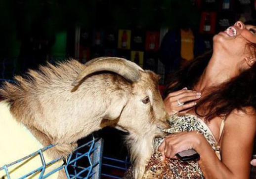 İnternette fenomen olan fotoğraflar - Resim: 2