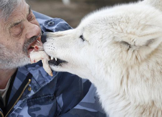 Bu adam kurtlarla yaşıyor! - Resim: 2