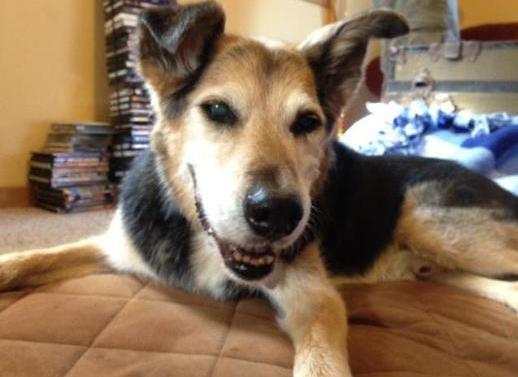 Ölümünü Facebook'tan duyurdu - Resim: 3