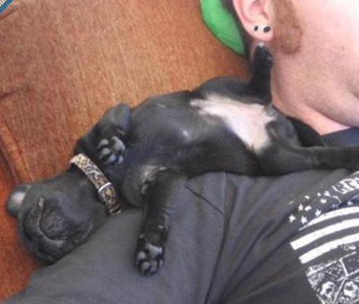 Sanal alemin en çok tıklanan kareleri - Resim: 4