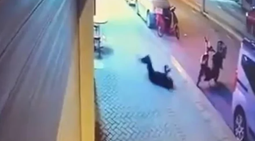 Zerin Kılınç'ın ölümünden 7 ay sonra tutuklandı! Erkek arkadaşın ifadesi ortaya çıktı - Resim: 0