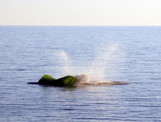 Denizin orta yerinde bulundu - Resim: 1