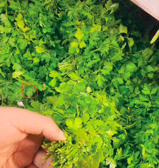 Yeşillikte de gramaj hilesi başladı! Zam yerine formülü buldular - Resim: 0