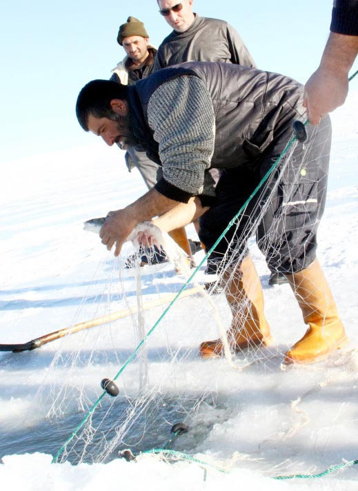 Ardahan'da eskimo usulü balık avı - Resim: 4