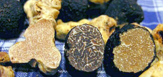 Trüf mantası nedir dünyanın en pahalı ikinci yiyeceği - Resim: 4