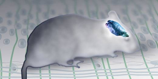 2014'ün 10 teknolojik buluşu - Resim: 2