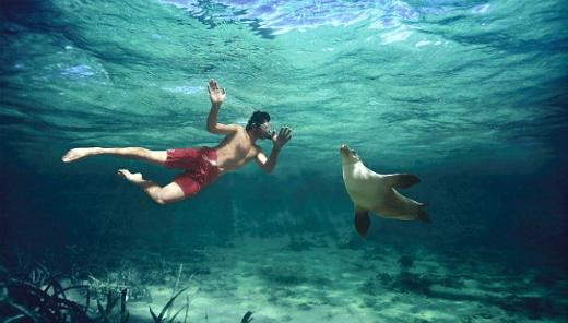 Dünyanın en iyi işi - Resim: 2