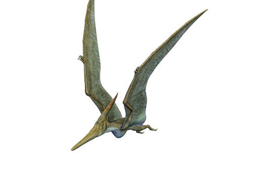 Devasa uçan sürüngen fosili bulundu