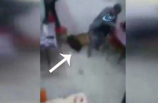 Yavru ayı kahvehaneye girince o anlar kamerada