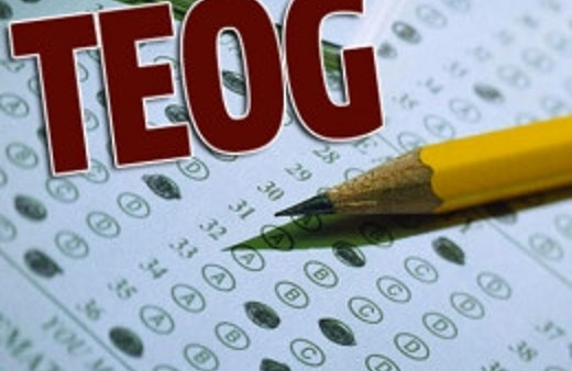 TEOG test çözme teknikleri tüm dersler!