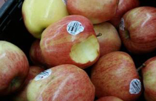 Görgüsüzlük mü eşek şakası mı?