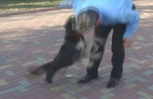 Belediye Başkanı sevdiği köpeğin saldırısına uğradı