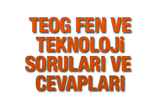 TEOG Fen ve Teknoloji soruları ve cevap anahtarı 26 Kasım 2015 EBA