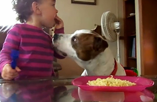 Minik bebeğe fırsat bile vermedi! Tam ağzına atacakken...