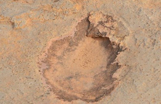 Tunus'ta dinazorların ayak izi bulundu
