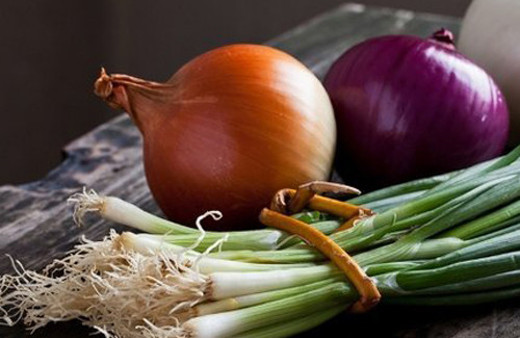 Öksürüğü kesip atar! Ilık suya bir kaşık bal koyup...