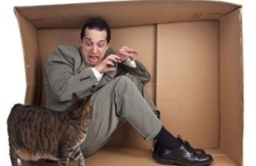 Hayvan korkusuna son!