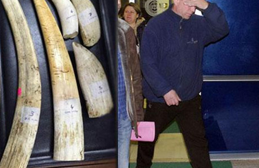 Zonguldak'ta servetlik balina dişi bulundu