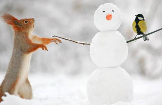 Günün en sevilen 60 fotoğrafı!