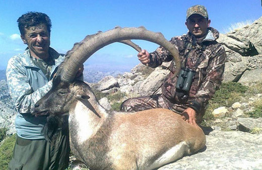 Konya'da öyle bir dağ keçisi avlandı ki