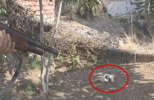 'Kurşun geçirmez' muskayı taktı ve tüfeği ateşledi