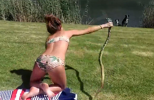 Bikinili kız kendisine saldıran kobrayı böyle yakaladı