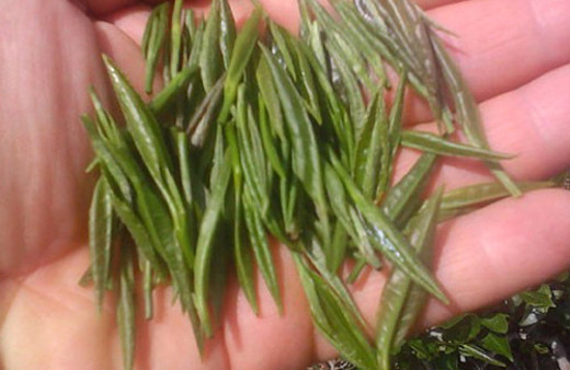 Türkiye'de üretiliyor kilosu 4 bin lira