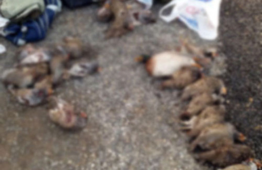 Bunu yapmayın cezası tam 14 bin lira!