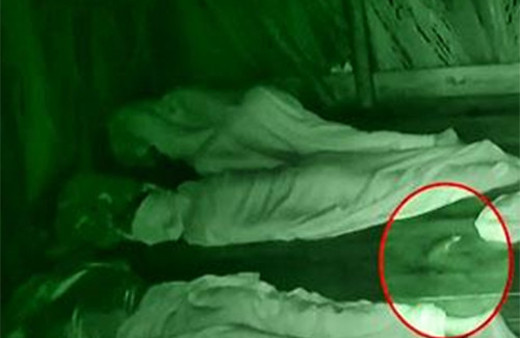 Survivor'da fare paniği: Ada çığlıklarla inledi!