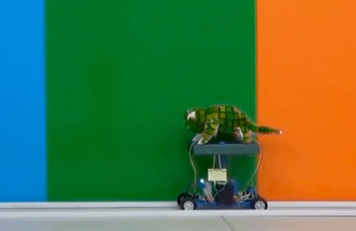 Çin'den 'bukalemun' robot