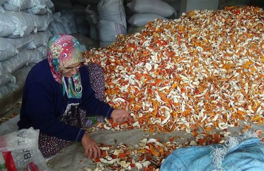 Kabuğu kendisinden 5 kat daha pahalı!