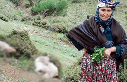 Bu vicdansızlığı nasıl yaparsınız?