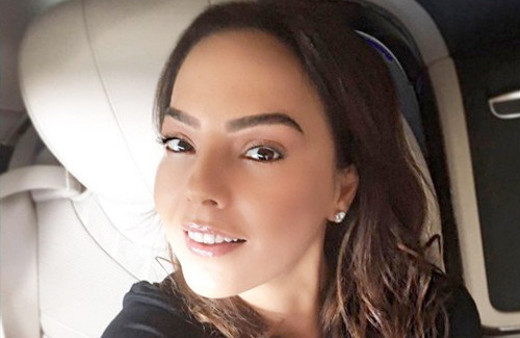 Reza Zarrab'tan sonra Ebru Gündeş kararını verdi