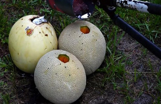 Kavunları delip içine alüminyum döktü! Sonuç şaşırttı