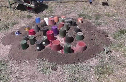 Karınca yuvasına eritilmiş alüminyum dökülürse ...