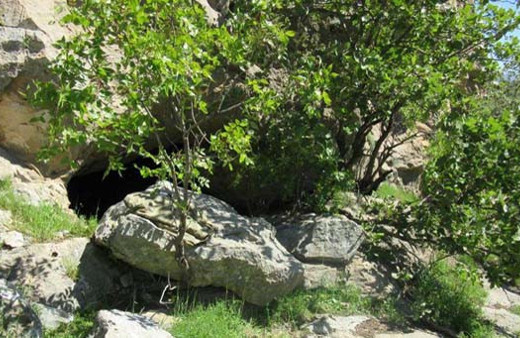 Ağaçların arkasında bulundu! PKK'nın ininden çıkanlara bakın