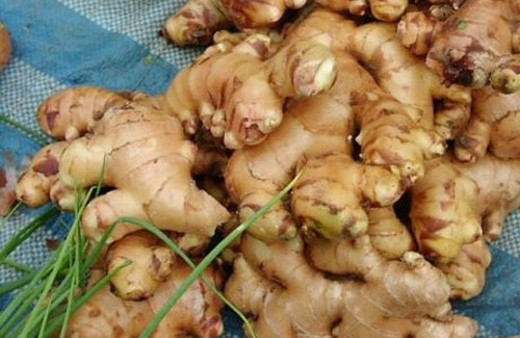 Şanlıurfa'dan çıkıyor fiyatı etle yarışıyor