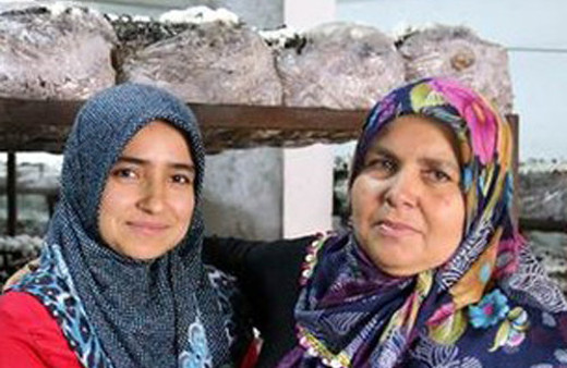 Gelin Kayınvalide bu işe girdiler