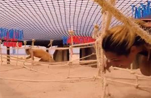 Survivor 8 Mayıs 2016 dokunulmazlık oyununu kim kazandı?